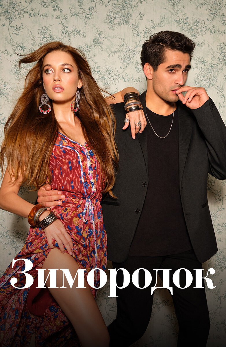 Зимородок смотреть онлайн сериал 1-3 сезон