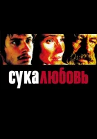  Сука-любовь смотреть онлайн (2000) 